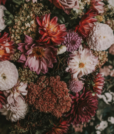 Lara y Carlos: la prueba de que de verdad adopte funciona