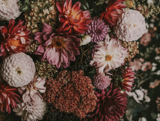 Lara y Carlos: la prueba de que de verdad adopte funciona