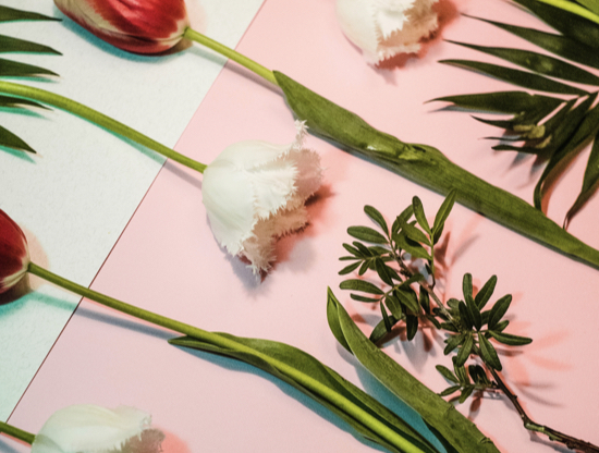 Cómo acertar con tu descripción en Adopta