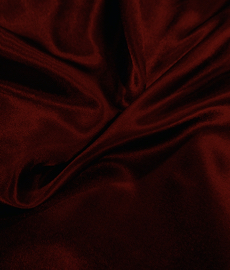 Lo que necesitas saber para ligar con un Leo