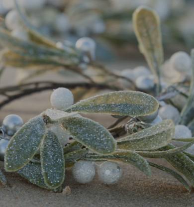 Canciones con las que se enamoraron tus padres