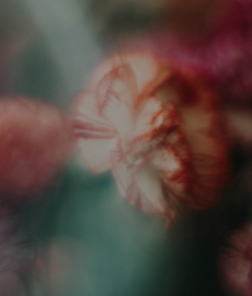 Mejores canciones de amor de tus series favoritas