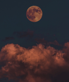 Jugando a truco o trato con tu ligue de adopte