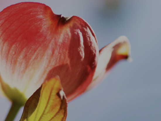 Malas noticias en el amor que realmente son buenas