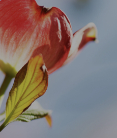 Malas noticias en el amor que realmente son buenas