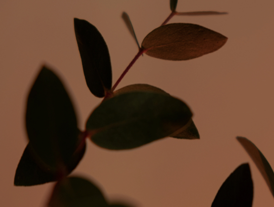 Wrapped emocional de los solteros en 2025