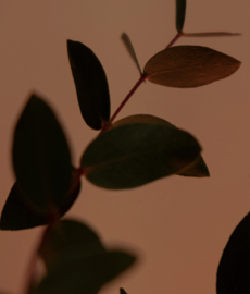 Wrapped emocional de los solteros en 2025