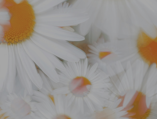 Cuando tu glow up delata que te has enamorado