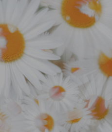 Cuando tu glow up delata que te has enamorado