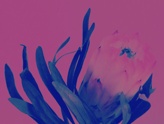 ¿Por qué leemos novelas sobre amores difíciles?